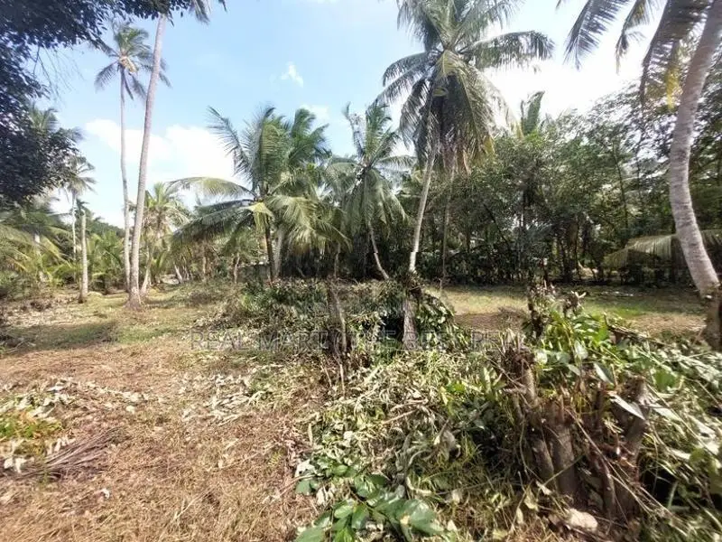 Ja-Ela : 107P Coconut Land for Sale