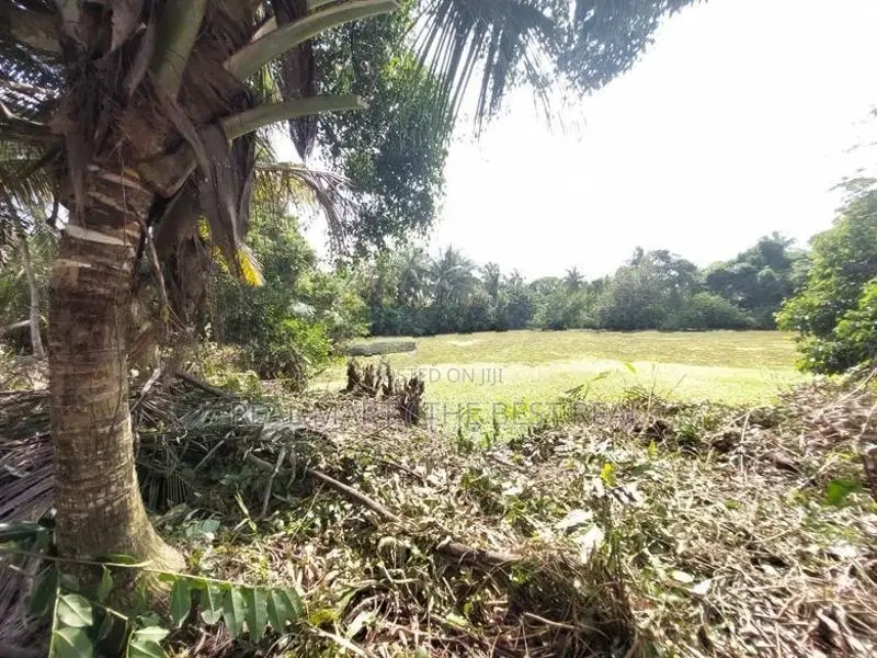 Ja-Ela : 107P Coconut Land for Sale