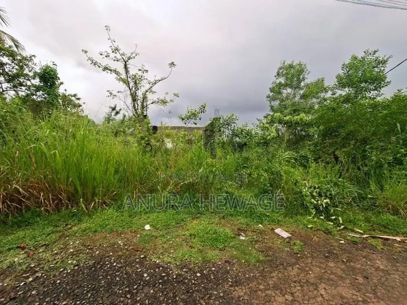 අතුරුගිරිය, ගල්වරුසාව පාරේ පිහිටි ඉඩමක් විකිණීමට ඇත. (ID : ATHU040S)