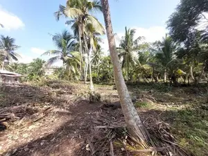 Ja-Ela : 107P Coconut Land for Sale