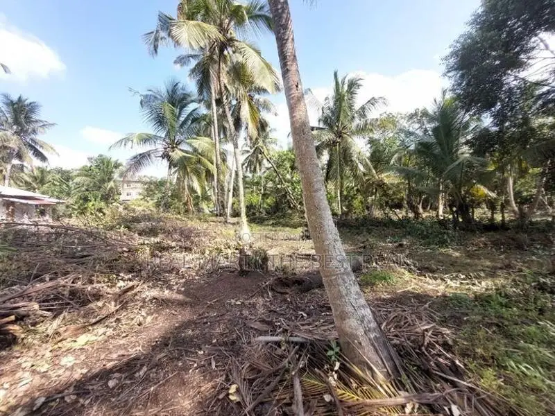Ja-Ela : 107P Coconut Land for Sale