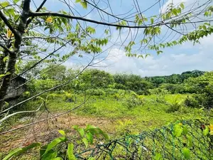 10 P Land for Sale in Piliyandala Kahathuduwa