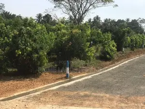 කලුතර නගරයට නුදුරින් සුපිරි ඉඩමක්