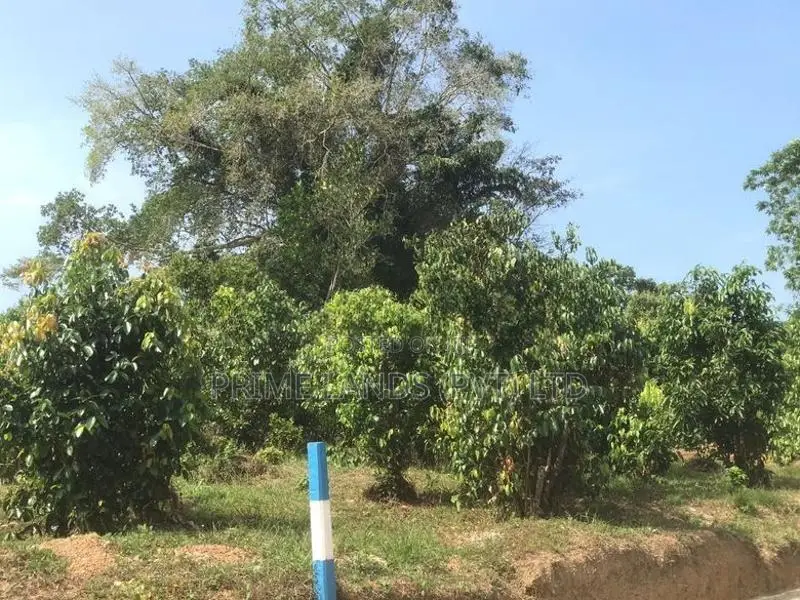 නේවාසික බිම් කොටස් පලාතොට කලුතර