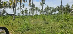 80 Perches Land for Sale Located in Homagama