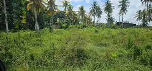 80 Perches Land for Sale Located in Homagama