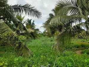 Land For Sale Anamaduwa