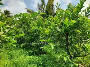 Land For Sale Anamaduwa