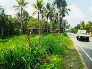 (AF919) 171. 31 P Commercial Land for Sale Facing Main Road Padduka