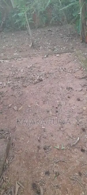 26 Perches Residential Land in Gonapola