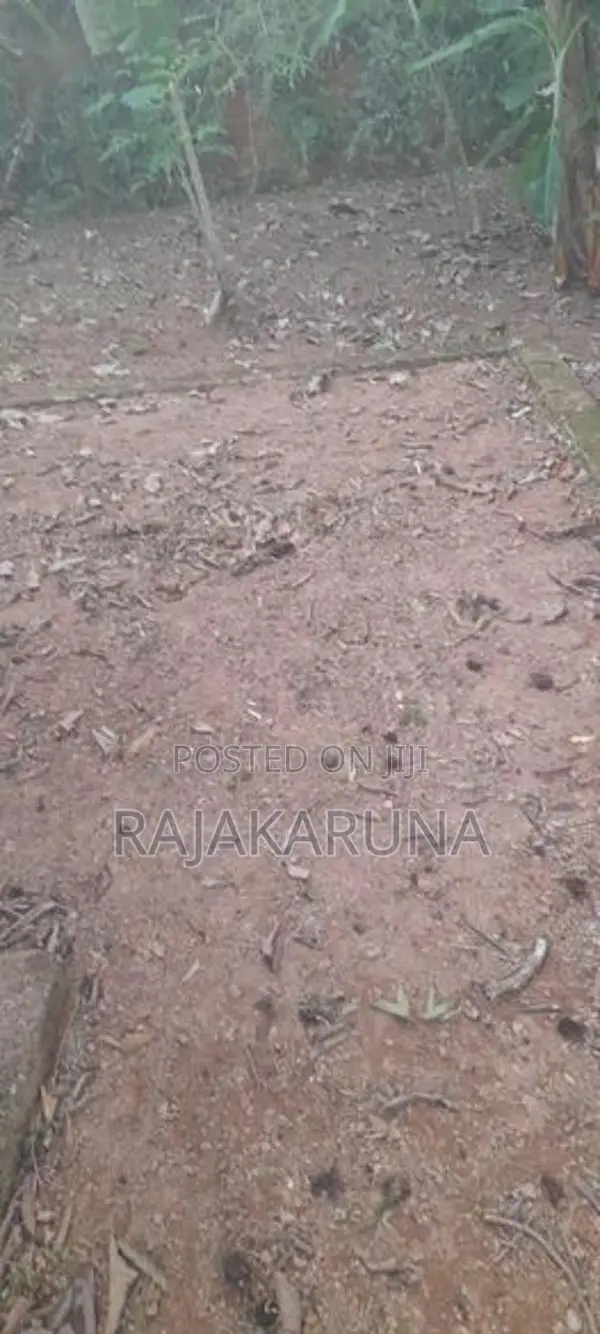26 Perches Residential Land in Gonapola