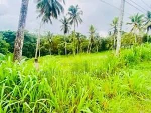 (AF919) 171.31P Commercial Land for Sale Facing Main Road Padduka