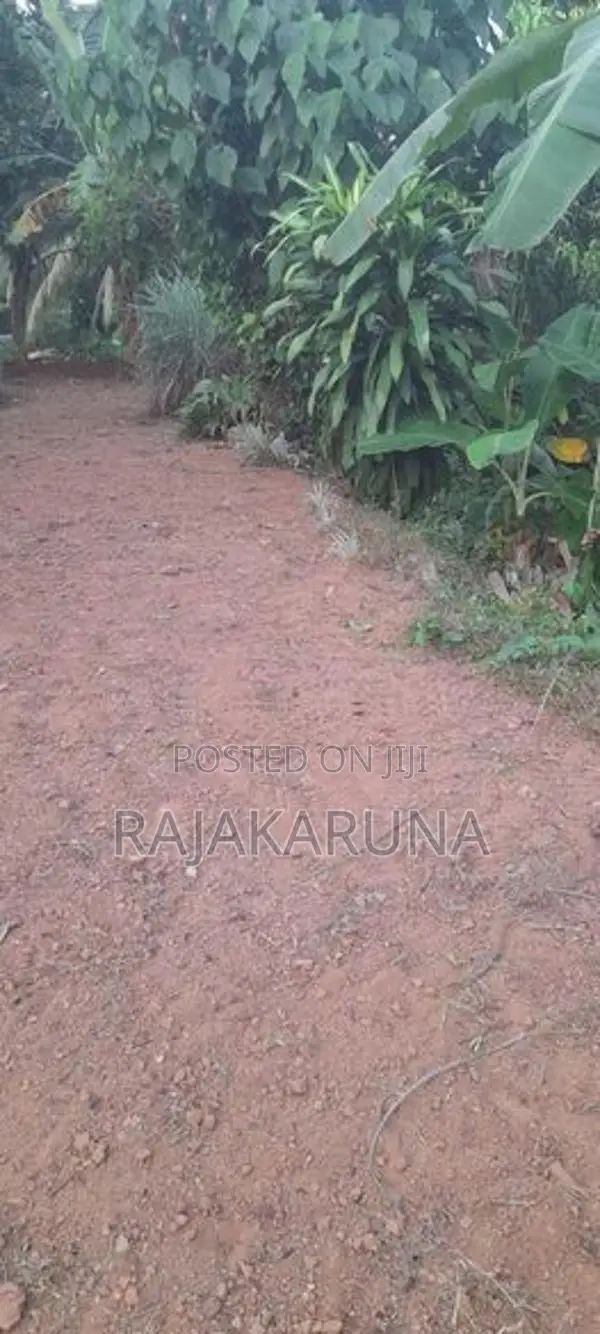26 Perches Residential Land in Gonapola