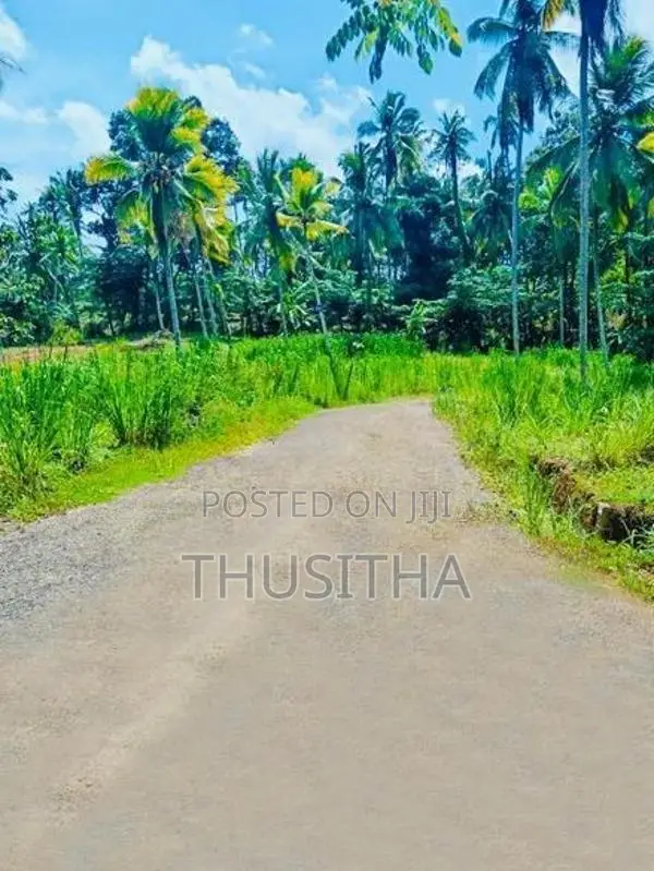 Mirigama දිවුලපිටිය ප්‍රධාන පාරට 2KM දුරින් ඉඩමක්