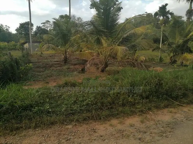Land for Sale Ambalangoda