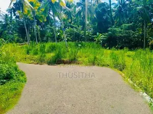 Mirigama දිවුලපිටිය ප්‍රධාන පාරට 2KM දුරින් ඉඩමක්