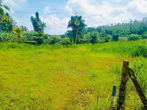 Mirigama දිවුලපිටිය ප්‍රධාන පාරට 2KM දුරින් ඉඩමක්