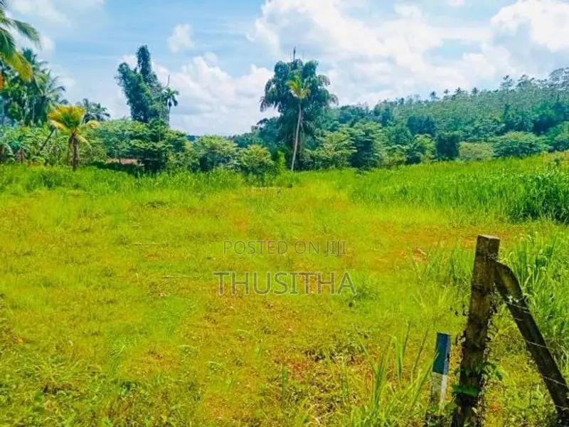 Mirigama දිවුලපිටිය ප්‍රධාන පාරට 2KM දුරින් ඉඩමක්