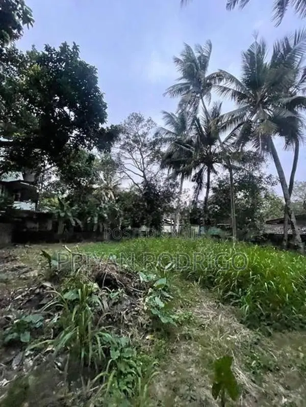 Land for Sale Mount Lavinia