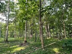 Makandura Badalgama Road Nalawalana Wide Rd. Facing Teak Land for Sale