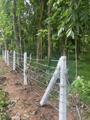 Makandura Badalgama Road Nalawalana Wide Rd. Facing Teak Land for Sale