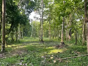 Makandura Badalgama Road Nalawalana Wide Rd. Facing Teak Land for Sale