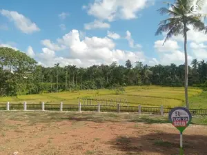 මාතර වෙල් යායකට මුහුණලා ඉඩමක්