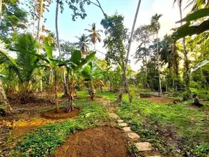 Residential Land for Sale in Sanasa Road, Udugampola, Gampaha.