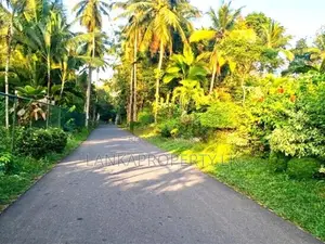 Residential Land for Sale in Sanasa Road, Udugampola, Gampaha.