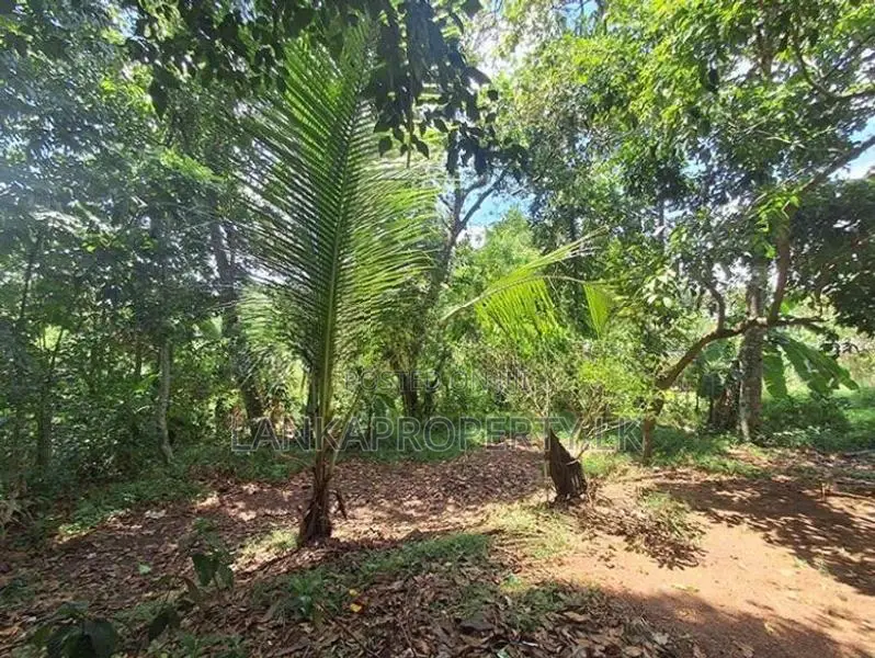35 Perches Residential Land for Sale in Orutota, Gampaha.