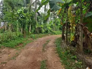 Residential Land for Sale, Wickramarachchi Mawatha, Yakkala.