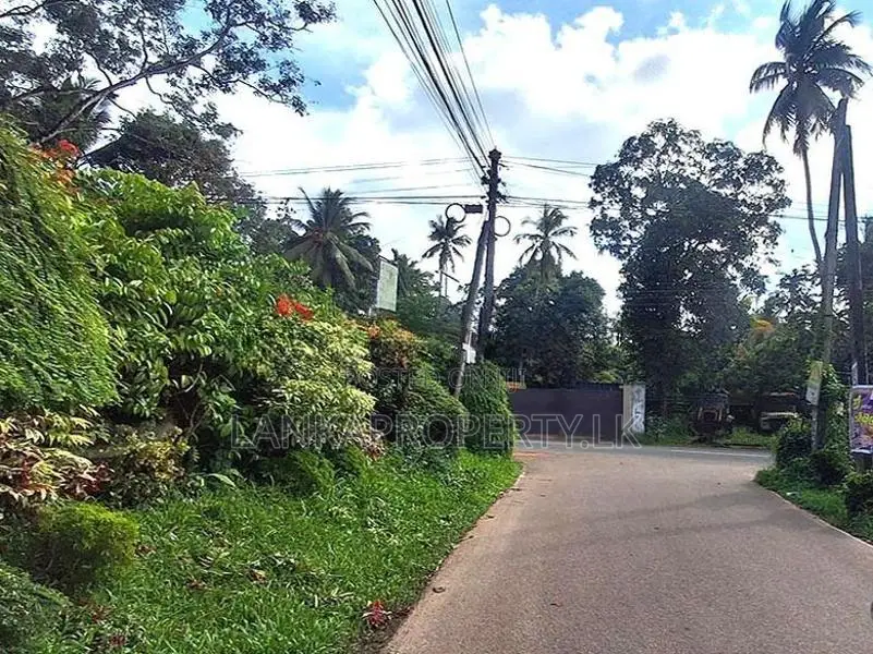 Residential Land for Sale in Sanasa Road, Udugampola, Gampaha.
