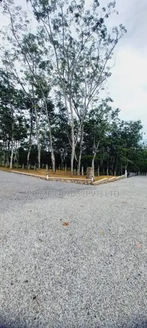 Valuable Land Plots Bellapitiya Horana