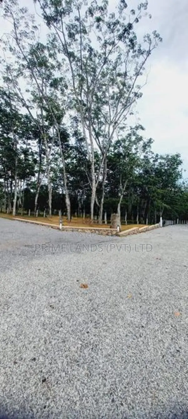 Valuable Land Plots Bellapitiya Horana
