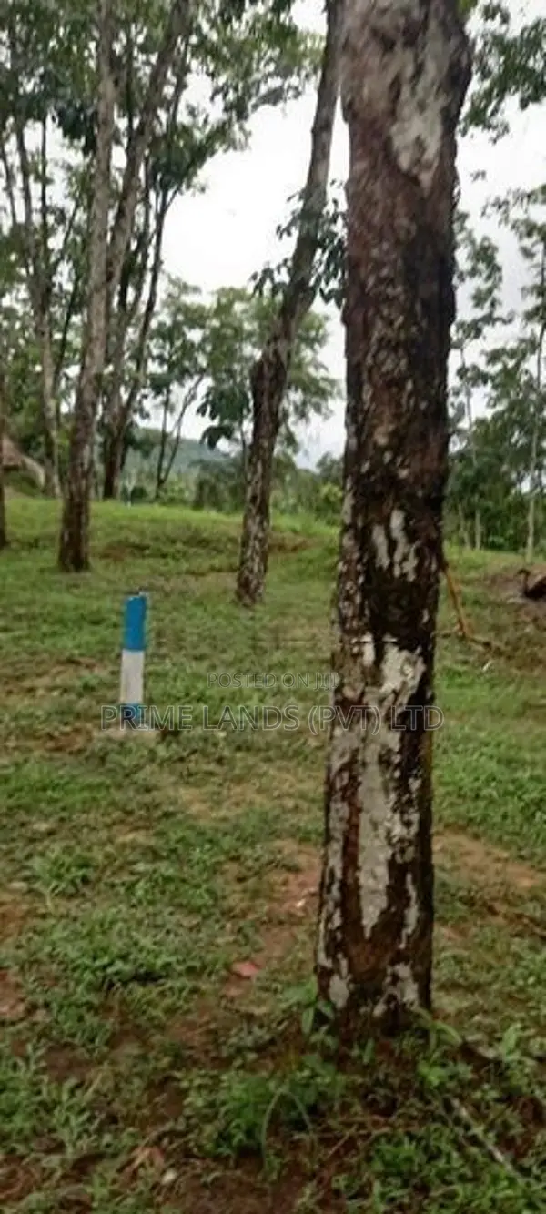 Valuable Land Plots Bellapitiya Horana
