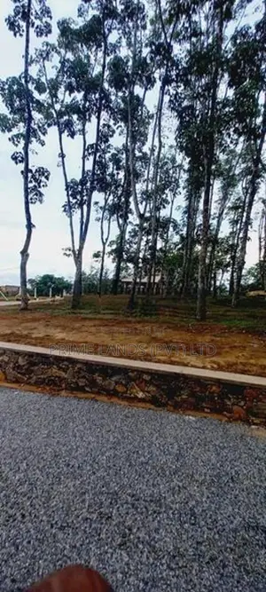 හොරන බැල්ලපිටියෙන් වටිනා නව ඉඩමක්
