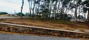 හොරන බැල්ලපිටියෙන් වටිනා නව ඉඩමක්