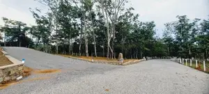 හොරන නගරයට ලඟින් බැල්ලපිටිය හොඳ ඉඩම