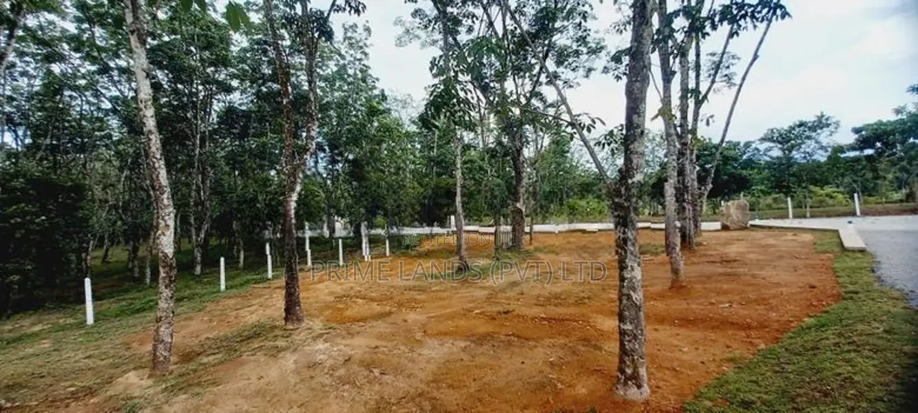 හොරන බැල්ලපිටියෙන් වටිනා නව ඉඩමක්