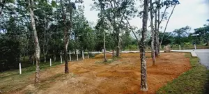 හොරන බැල්ලපිටියෙන් වටිනා නව ඉඩමක්