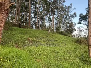 2 Blocks of Land for Sale – Kandy Road, Nuwara Eliya (“Little England”