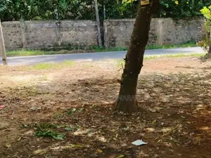 Land for Sale Near Colombo-Kandy Main Road
