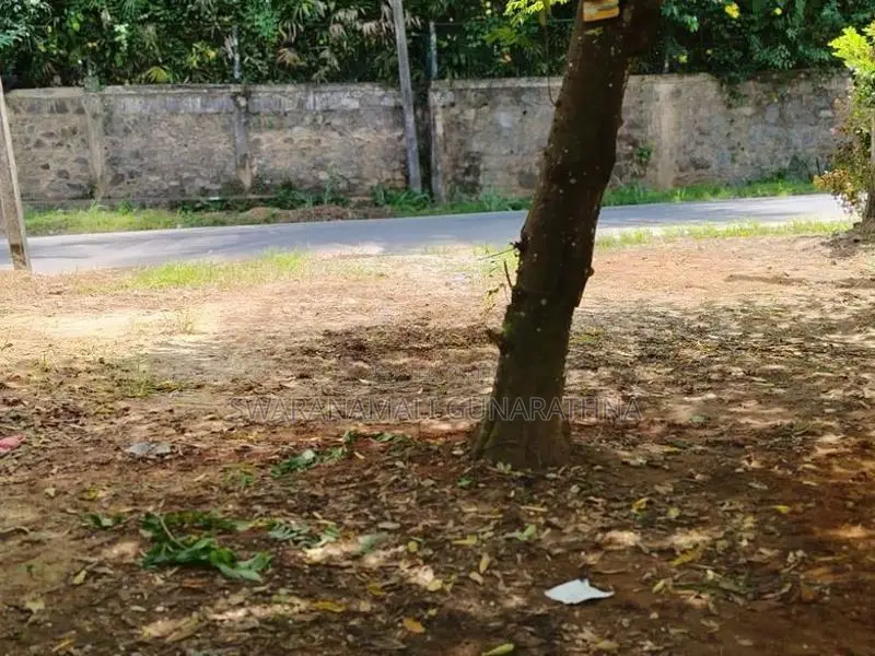 Land for Sale Near Colombo-Kandy Main Road