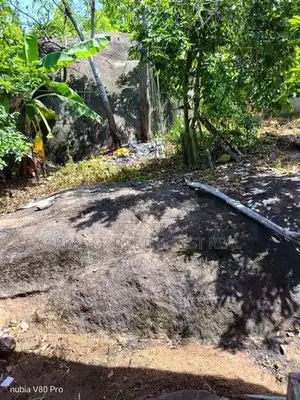 MAHAINDURUWA : 56P OF VALUABLE LAND WITH A HOUSE FOR SALE