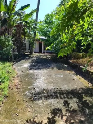 MAHAINDURUWA : 56P OF VALUABLE LAND WITH A HOUSE FOR SALE