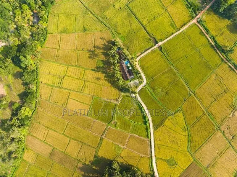 47P Modern Luxury House Surrounding Paddy Fields for Sale in Gampaha
