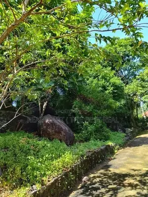 MAHAINDURUWA : 56P OF VALUABLE LAND WITH A HOUSE FOR SALE