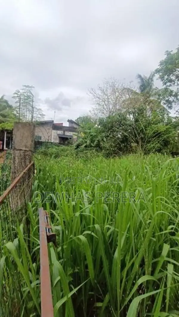land for sale sewapiysa road wewalagra bollatha ja ela