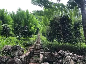 Estate for Sale in Niwithigala