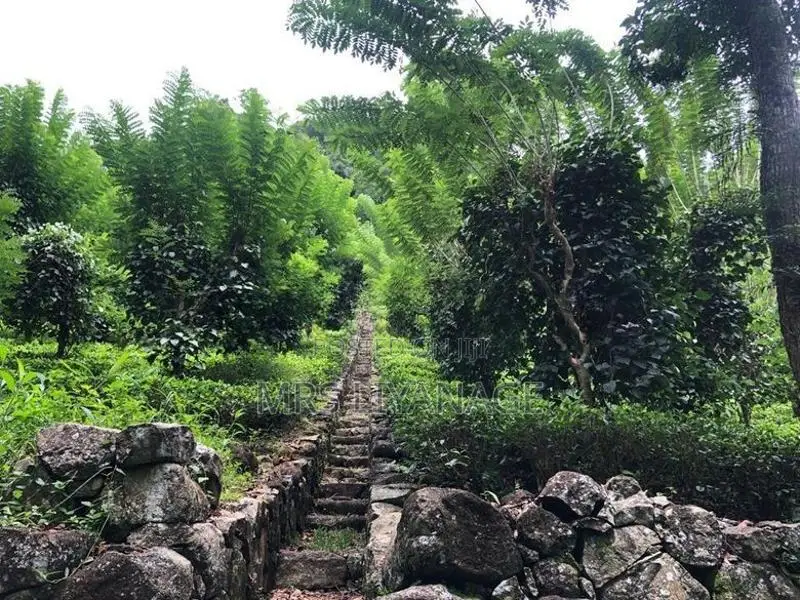 Estate for Sale in Niwithigala